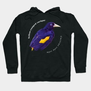 Yellow-rumped cacique tropical brd pin white text Hoodie